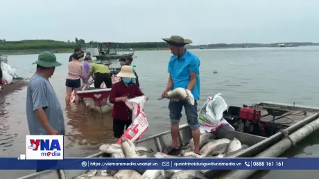 Hỗ trợ người dân sau sự cố cá chết trên hồ Trị An