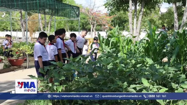 Học sinh Cần Giờ lan tỏa lối sống xanh
