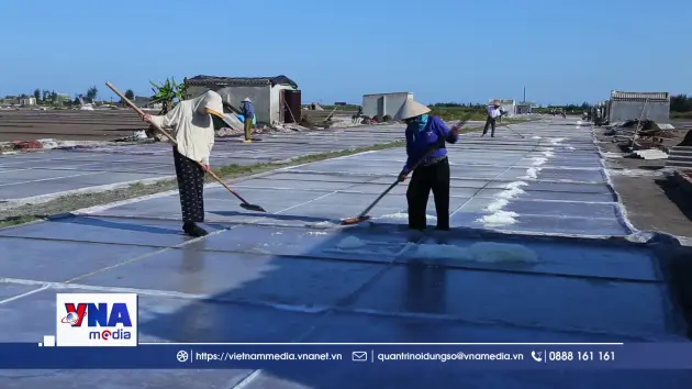 Nắng đổ lửa, diêm dân Ninh Bình được mùa muối