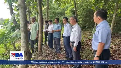 Vĩnh Long xử lý tình trạng sạt lở tại khu vực Chùa Prek Tung