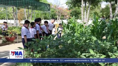 Học sinh Cần Giờ lan tỏa lối sống xanh