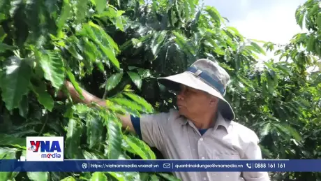 Cựu chiến binh vượt khó làm giàu từ mô hình kinh tế tổng hợp