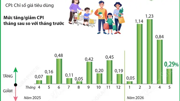 CPI tháng 5/2026 tăng 0,29%