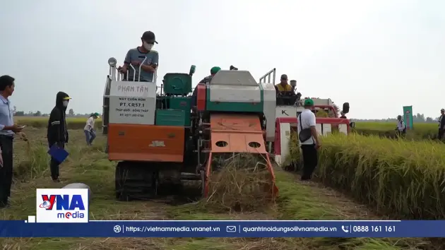 Tăng giá trị nông nghiệp từ phế phụ phẩm