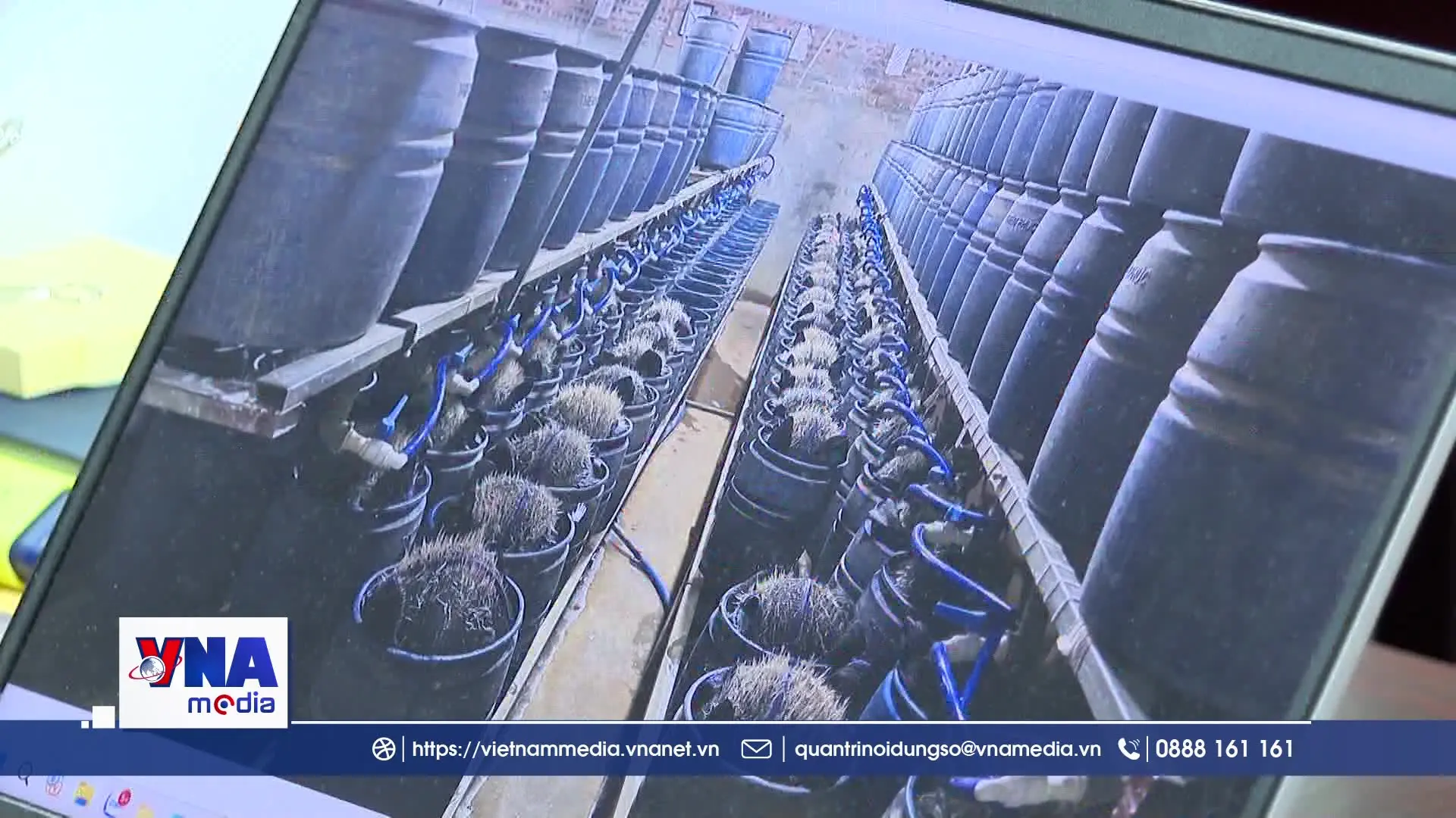 Tội ác trong căn phòng khép kín ở Bắc Ninh