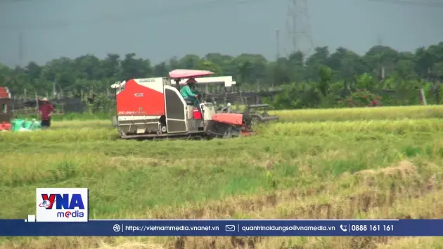 Hưng Yên đẩy mạnh cơ giới hóa đồng bộ trong thu hoạch lúa