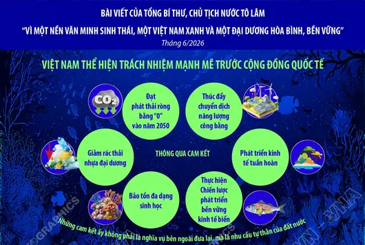 Việt Nam thể hiện trách nhiệm mạnh mẽ trước cộng đồng quốc tế