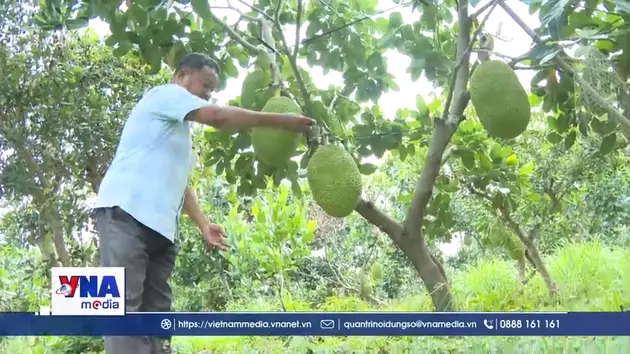 Nâng cao chất lượng nông sản để chinh phục thị trường