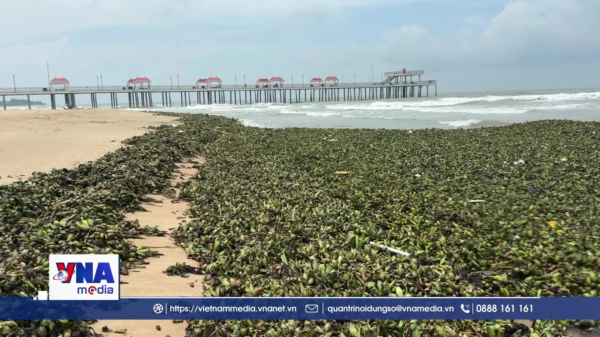 Lần đầu tiên lục bình và rác thải đại dương bủa vây bãi biển Hồ Tràm