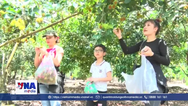 Mùa trái chín ở Đồng Nai, nông dân tăng thu nhập nhờ du lịch vườn