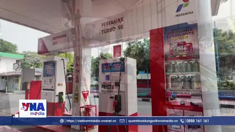 Indonesia đối mặt bài toán khó về nhiên liệu sinh học
