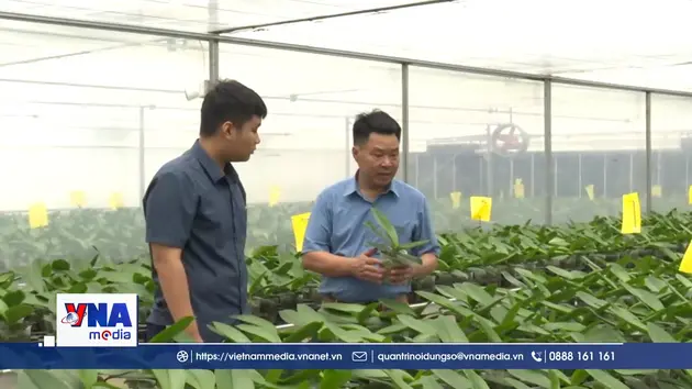 Nông dân Thanh Hóa chuyển đổi số, chuyển giao công nghệ mới trong sản xuất