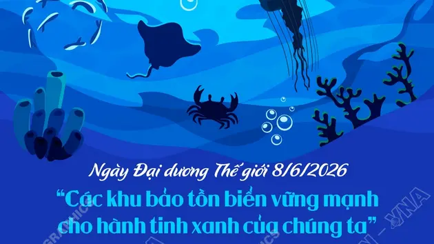 Ngày Đại dương Thế giới 8/6/2026: “Các khu bảo tồn biển vững mạnh cho hành tinh xanh của chúng ta”