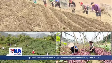 Nâng giá trị nông sản từ đổi mới tư duy sản xuất
