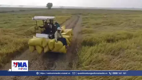 Đột phá phát triển kinh tế tập thể