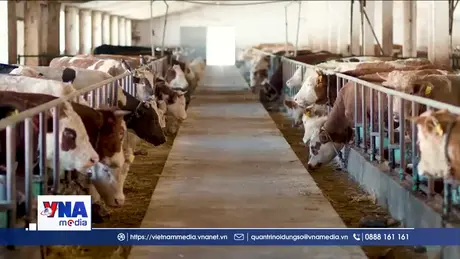 FAO cảnh báo vấn đề kháng thuốc kháng sinh