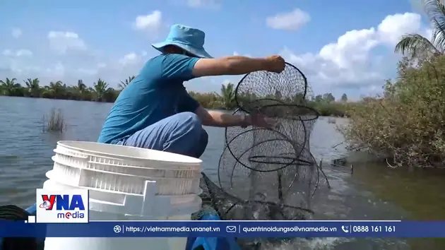 Hiệu quả từ nuôi thủy sản an toàn sinh học ở An Giang