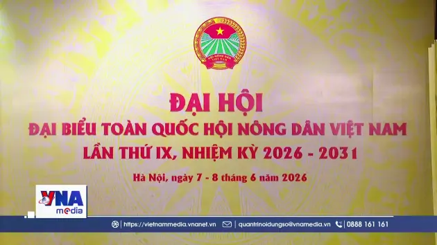 Phát huy vai trò chủ thể của nông dân trong phát triển kinh tế nông nghiệp