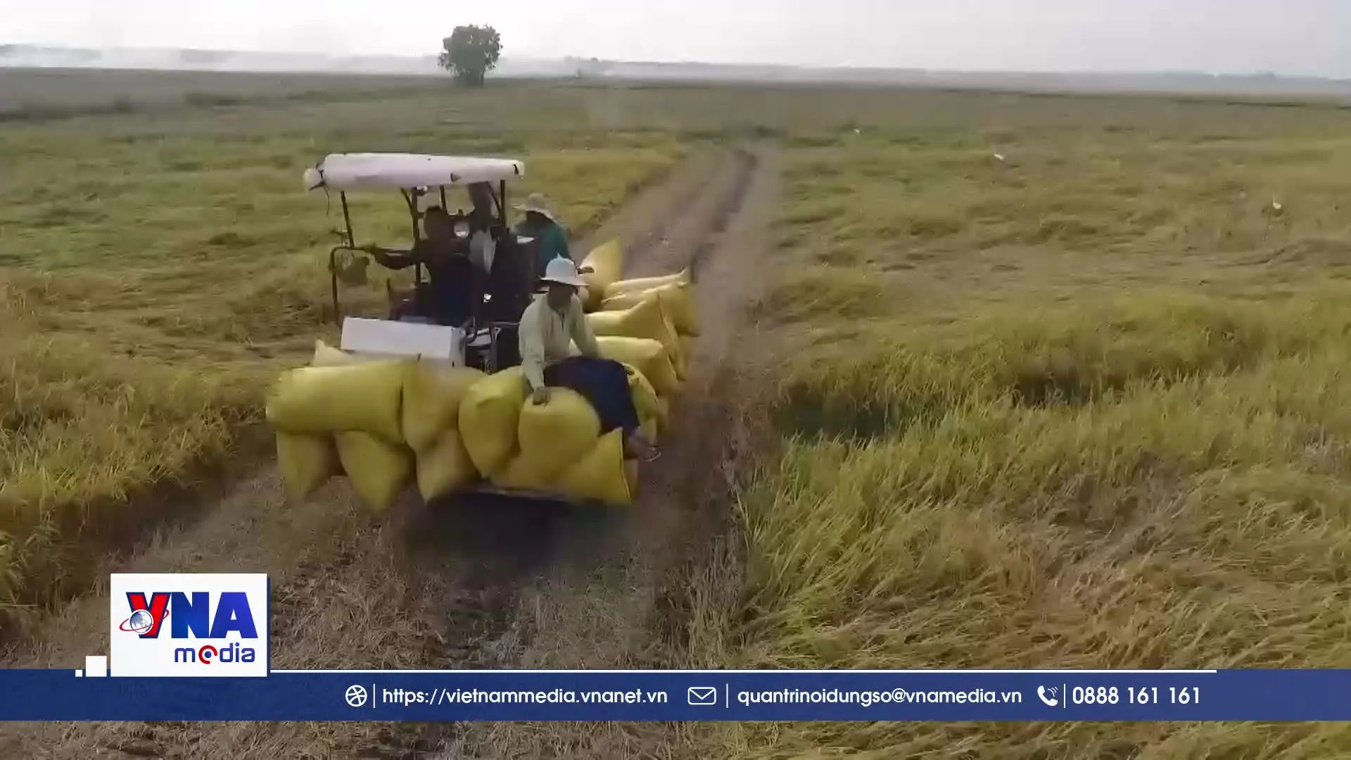 Đột phá phát triển kinh tế tập thể