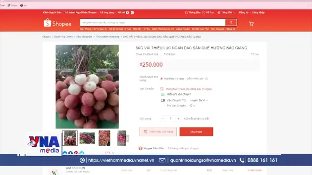 Xúc tiến thương mại đa kênh cho vải thiều