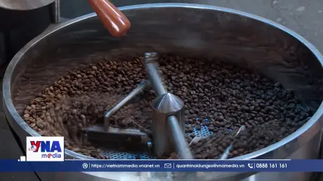 Nâng tầm giá trị cà phê Arabica Điện Biên
