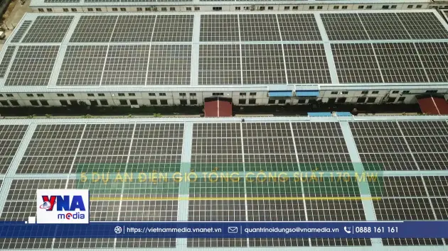 Cà Mau khai thác lợi thế xanh để hiện thực hóa mục tiêu Net Zero