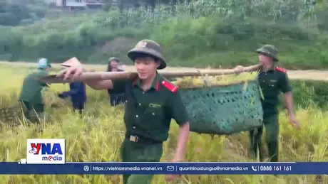 Công an giúp bà con gặt lúa chạy lũ