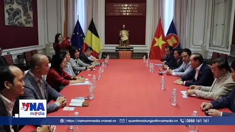 Trí thức người Việt tại Bỉ và Luxembourg đồng hành cùng thành phố Huế