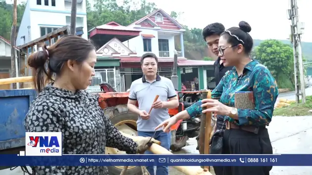 Lào Cai chú trọng khai thác dư địa lâm sản ngoài gỗ