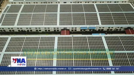 Cà Mau khai thác lợi thế xanh để hiện thực hóa mục tiêu Net Zero
