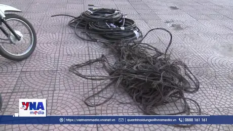 Bắt nhóm đối tượng trộm cắp dây cáp điện