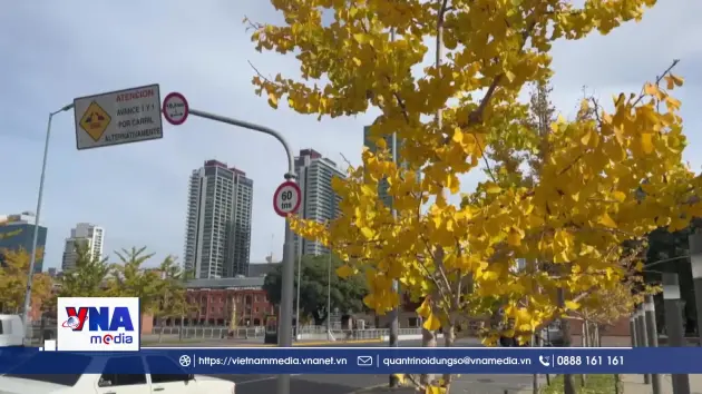 Quyến rũ mùa thu Buenos Aires