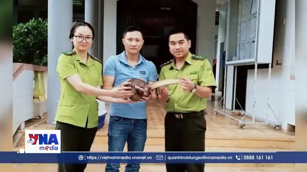 Quảng Trị cứu hộ 5 cá thể động vật hoang dã nguy cấp