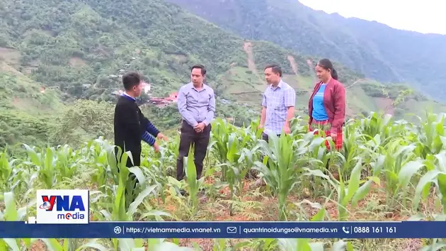 Bí thư chi bộ hết lòng vì nhân dân vùng cao