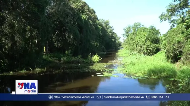 Đồng Tháp: Bảo tồn đa dạng sinh học ở các vùng đất ngập nước