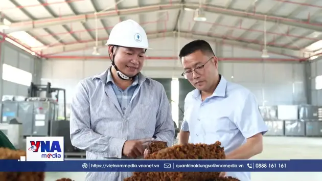 Điện Biên thu hút đầu tư vào nông nghiệp