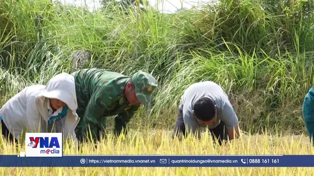 Gieo niềm tin trên vùng biên giới Ia Mơ