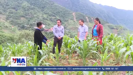Bí thư chi bộ hết lòng vì nhân dân vùng cao