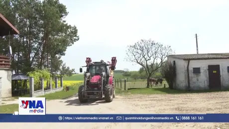 EU tài trợ lớn cho nông dân ứng phó chi phí phân bón