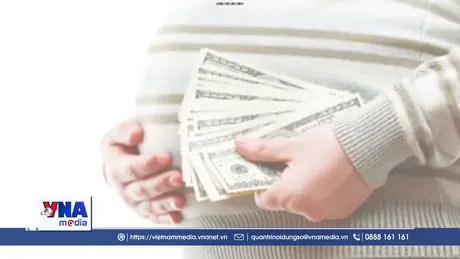 📌Trạm tin số tối ngày 13/6/2026: Quảng Ninh khởi tố đối tượng cầm đầu đường dây môi giới mang thai hộ