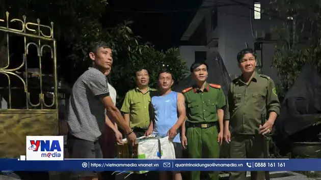 Quảng Trị: Bàn giao cá thể trăn hoang dã nặng 9 kg cho lực lượng kiểm lâm