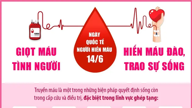 Ngày Quốc tế Người hiến máu 14/6: Giọt máu tình người - Hiến máu đào, trao sự sống