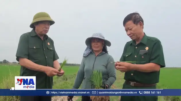 Từ người lính đến “thủ lĩnh” hợp tác xã
