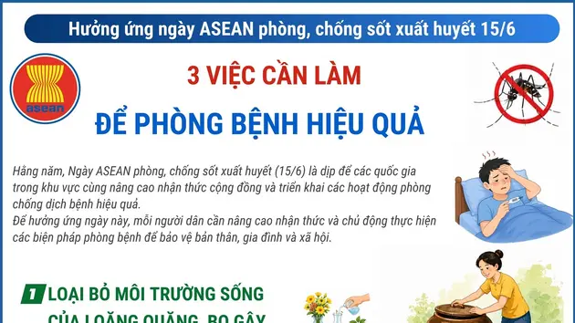 Hưởng ứng ngày ASEAN phòng, chống sốt xuất huyết 15/6: 3 việc cần làm để phòng bệnh hiệu quả