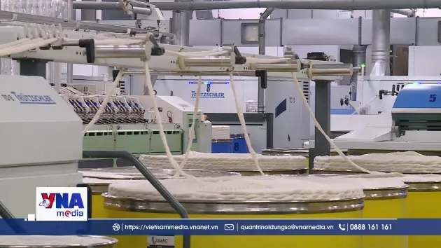 Bất chấp khủng hoảng toàn cầu, ngành sợi vẫn tăng trưởng ngoạn mục