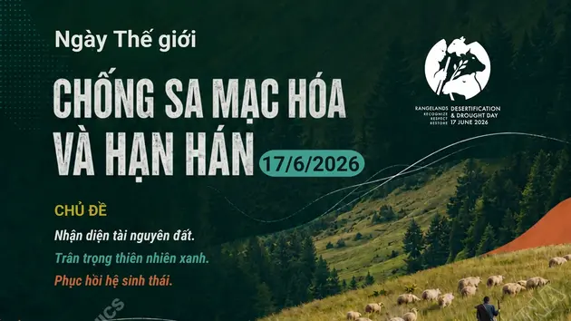 Ngày Thế giới chống sa mạc hóa và hạn hán 17/6/2026: Nhận diện, trân trọng và phục hồi