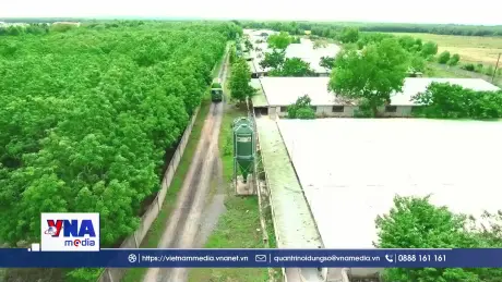 Áp lực thị trường thúc đẩy doanh nghiệp chuyển đổi xanh