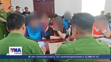 493 nạn nhân sập bẫy lừa 