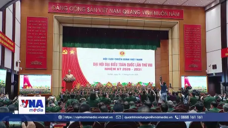 Đưa nghị quyết Đại hội VIII Hội Cựu chiến binh Việt Nam vào thực tiễn