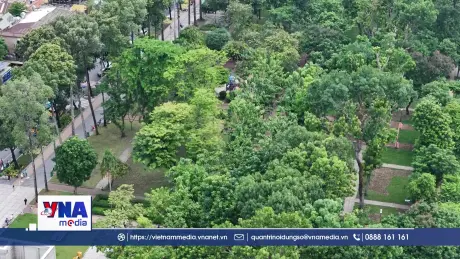 Cần thêm những “lá phổi xanh” giữa siêu đô thị